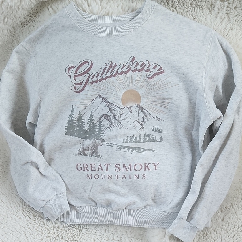 EUC Hollister Crewneck Sweatshirt S